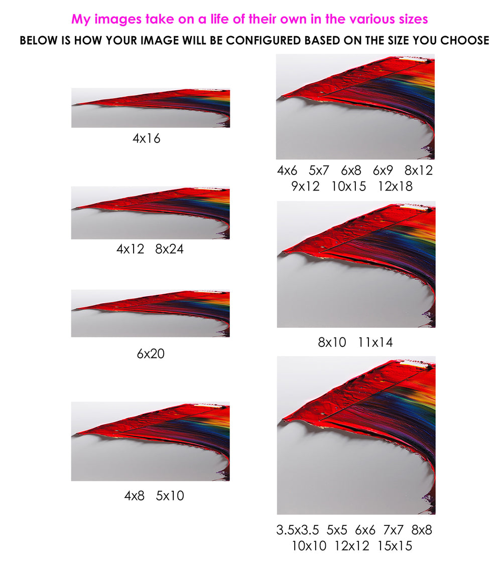 Zpectrum - chakraZ™