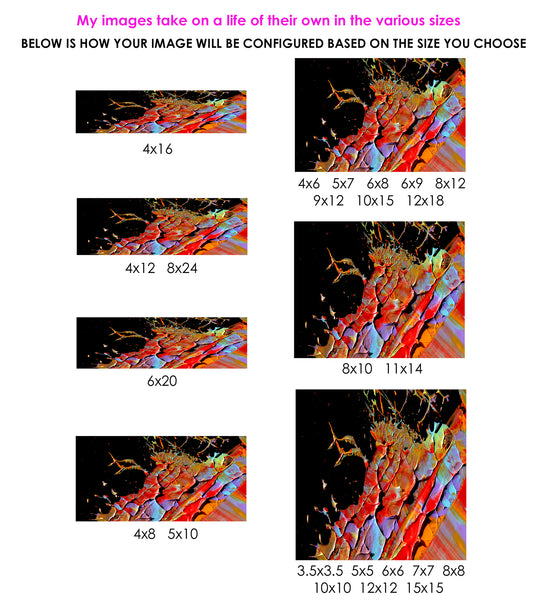 creation - chakraZ™