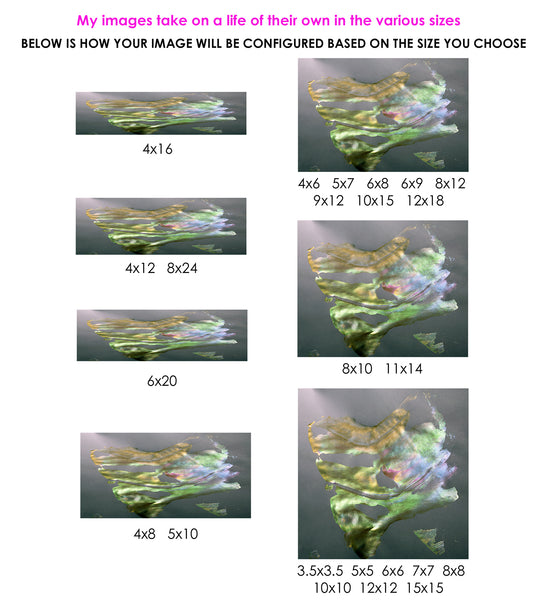 destiny - chakraZ™