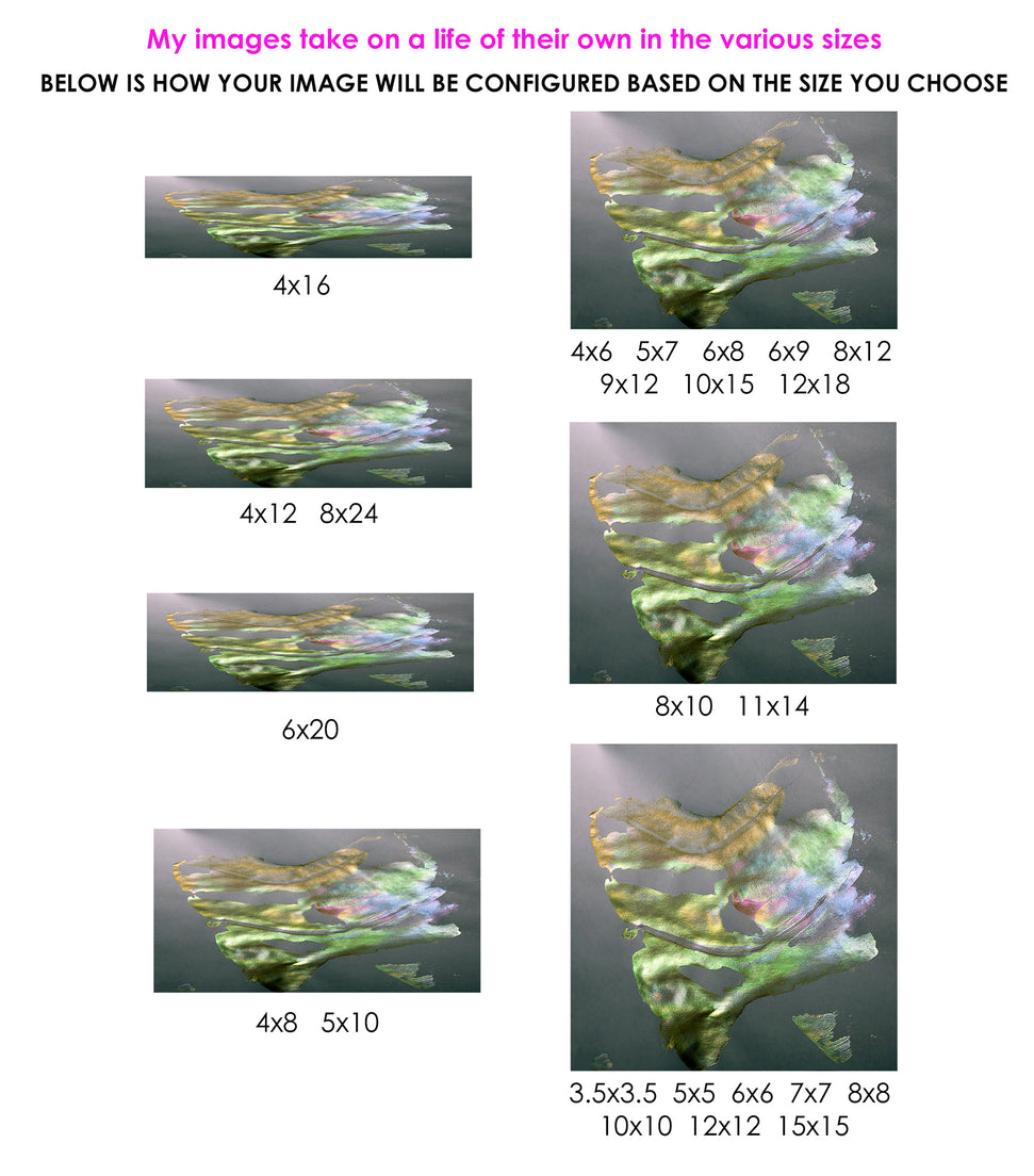 destiny - chakraZ™