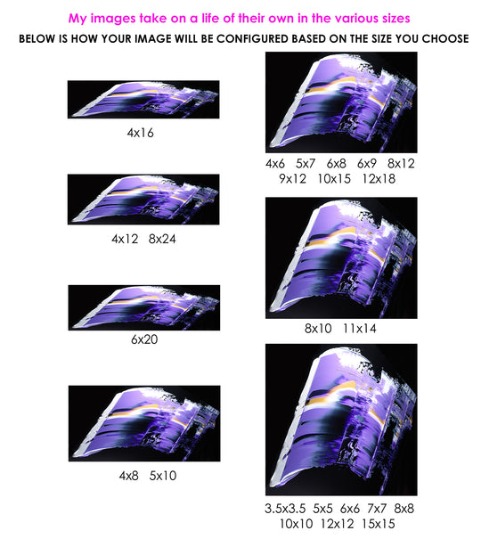 divine wiZdom - chakraZ™