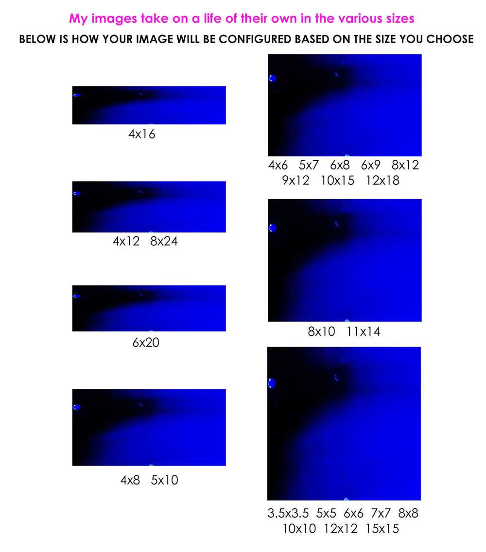 manifeZtation - chakraZ™